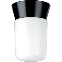 Ceiling Mounted Light 4-1/4" Width Ceiling Mounted Light 4-1/4" Width
