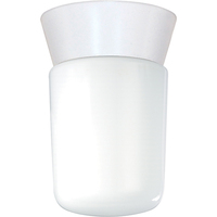 Ceiling Mounted Light 4-1/4" Width Ceiling Mounted Light 4-1/4" Width