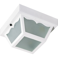 Ceiling Mounted Light 10-1/4" Width Ceiling Mounted Light 10-1/4" Width