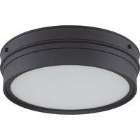 Flush Mount Ceiling Light 12-3/4" Width Flush Mount Ceiling Light 12-3/4" Width