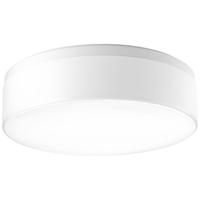 Flush Mount Ceiling Light 18" Width Flush Mount Ceiling Light 18" Width