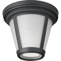 Flush Mount Ceiling Light 9" Width Flush Mount Ceiling Light 9" Width