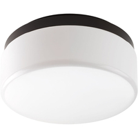 Flush Mount Ceiling Light Flush Mount Ceiling Light