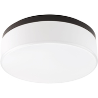 Flush Mount Ceiling Light Flush Mount Ceiling Light
