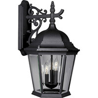 Outdoor Wall Light 22-1/4" Height Outdoor Wall Light 22-1/4" Height