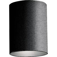 Ceiling Mounted Light 5" Width Ceiling Mounted Light 5" Width