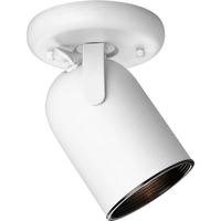 Flush Mount Ceiling Light 5-1/2" Width Flush Mount Ceiling Light 5-1/2" Width