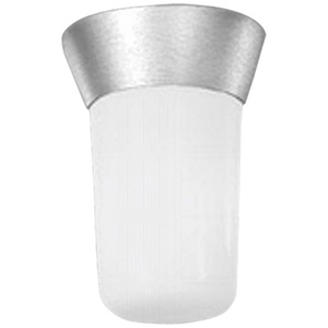 PP551016 Cast Aluminum Ceiling Ceiling Mounted - Satin Aluminum PP551016 Cast Aluminum Ceiling Ceiling Mounted - Satin Aluminum