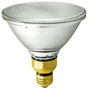 SAT14602 Med PAR38 Incandescent Light Bulb - Clear SAT14602 Med PAR38 Incandescent Light Bulb - Clear