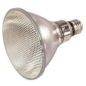 SS2325 Med PAR38 Halogen Light Bulb - Clear SS2325 Med PAR38 Halogen Light Bulb - Clear