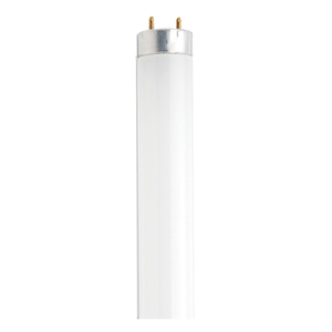 SAT21616 Fluorescent Tube Fluorescent Tube Light Bulb - Cool White SAT21616 Fluorescent Tube Fluorescent Tube Light Bulb - Cool White