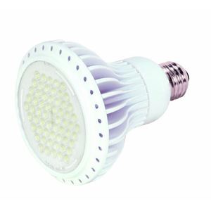 SATS8822 LED Light Bulb - White SATS8822 LED Light Bulb - White