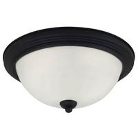 Flush Mount Ceiling Light Flush Mount Ceiling Light