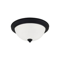 Flush Mount Ceiling Light Flush Mount Ceiling Light