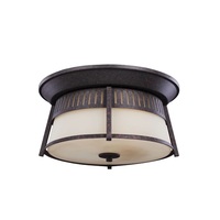 Ceiling Mounted Light Ceiling Mounted Light