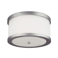 Ceiling Mounted Light 11-1/4" Width Ceiling Mounted Light 11-1/4" Width