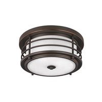 Ceiling Mounted Light Ceiling Mounted Light