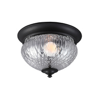 Ceiling Mounted Light 11" Width Ceiling Mounted Light 11" Width