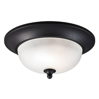 Ceiling Mounted Light 11" Width Ceiling Mounted Light 11" Width