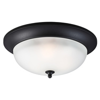 Ceiling Mounted Light 15" Width Ceiling Mounted Light 15" Width