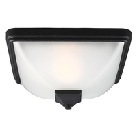 Ceiling Mounted Light 11-3/4" Width Ceiling Mounted Light 11-3/4" Width