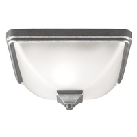 Ceiling Mounted Light 11-3/4" Width Ceiling Mounted Light 11-3/4" Width
