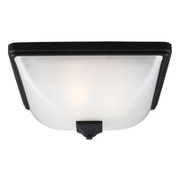 Ceiling Mounted Light 15" Width Ceiling Mounted Light 15" Width