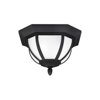 Ceiling Mounted Light 13-1/2" Width Ceiling Mounted Light 13-1/2" Width