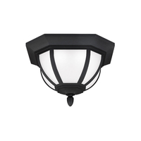 Ceiling Mounted Light 13-1/2" Width Ceiling Mounted Light 13-1/2" Width