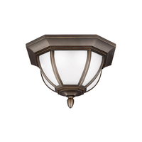 Ceiling Mounted Light 13-1/2" Width Ceiling Mounted Light 13-1/2" Width