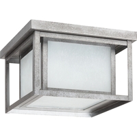 Ceiling Mounted Light 10" Width Ceiling Mounted Light 10" Width