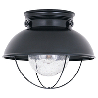 Ceiling Mounted Light Ceiling Mounted Light