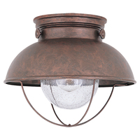 Ceiling Mounted Light Ceiling Mounted Light