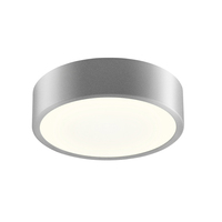 Flush Mount Ceiling Light Flush Mount Ceiling Light