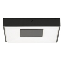 Flush Mount Ceiling Light 11" Width Flush Mount Ceiling Light 11" Width