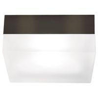 Flush Mount Ceiling Light 9" Width Flush Mount Ceiling Light 9" Width