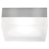 Flush Mount Ceiling Light 9" Width Flush Mount Ceiling Light 9" Width