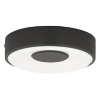 Flush Mount Ceiling Light 7-3/5" Width Flush Mount Ceiling Light 7-3/5" Width