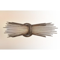 Wall Sconce (Multi Bulb) Wall Sconce (Multi Bulb)