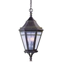 Hanging Lantern Hanging Lantern