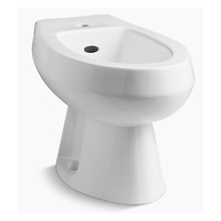 Over the Rim Bidet Faucet Over the Rim Bidet Faucet
