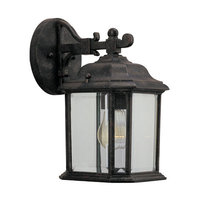 Outdoor Wall Light 11-1/4" Height