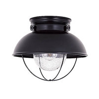 Ceiling Mounted Light 11-1/4" Width Ceiling Mounted Light 11-1/4" Width