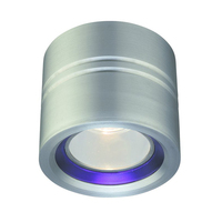 Ceiling Mounted Light Ceiling Mounted Light