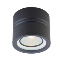 Ceiling Mounted Light Ceiling Mounted Light