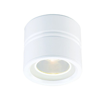 Ceiling Mounted Light Ceiling Mounted Light