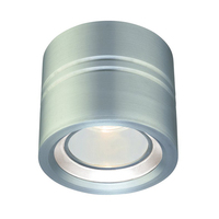 Ceiling Mounted Light Ceiling Mounted Light
