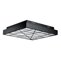 Flush Mount Ceiling Light 15-3/4" Width