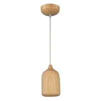 Mini-Pendant 5" Width