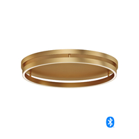 Flush Mount Ceiling Light 24-1/2" Width